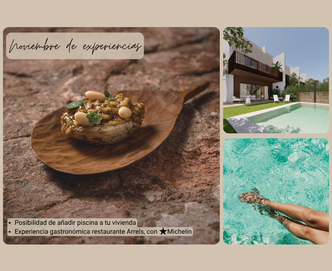 Noviembre de experiencias